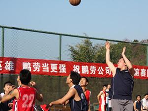 NG28注册平台入口